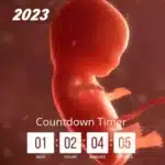 Baby Due Date Countdown Widget icon
