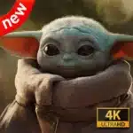 Baby Yoda Wallpaper icon
