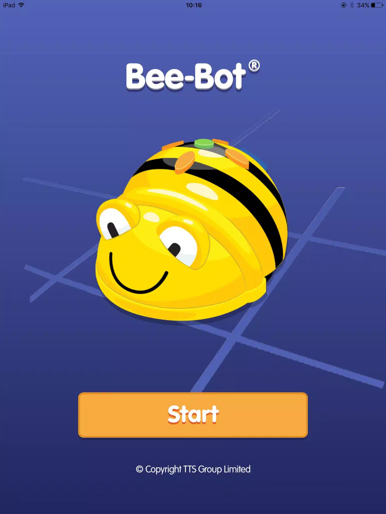 Bee-Bot Image 1