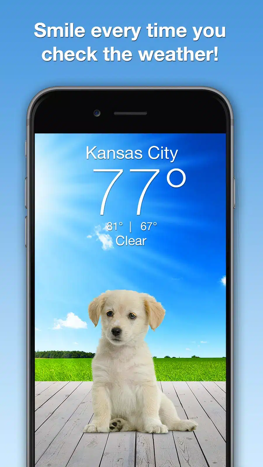 Weather Puppy Image 1