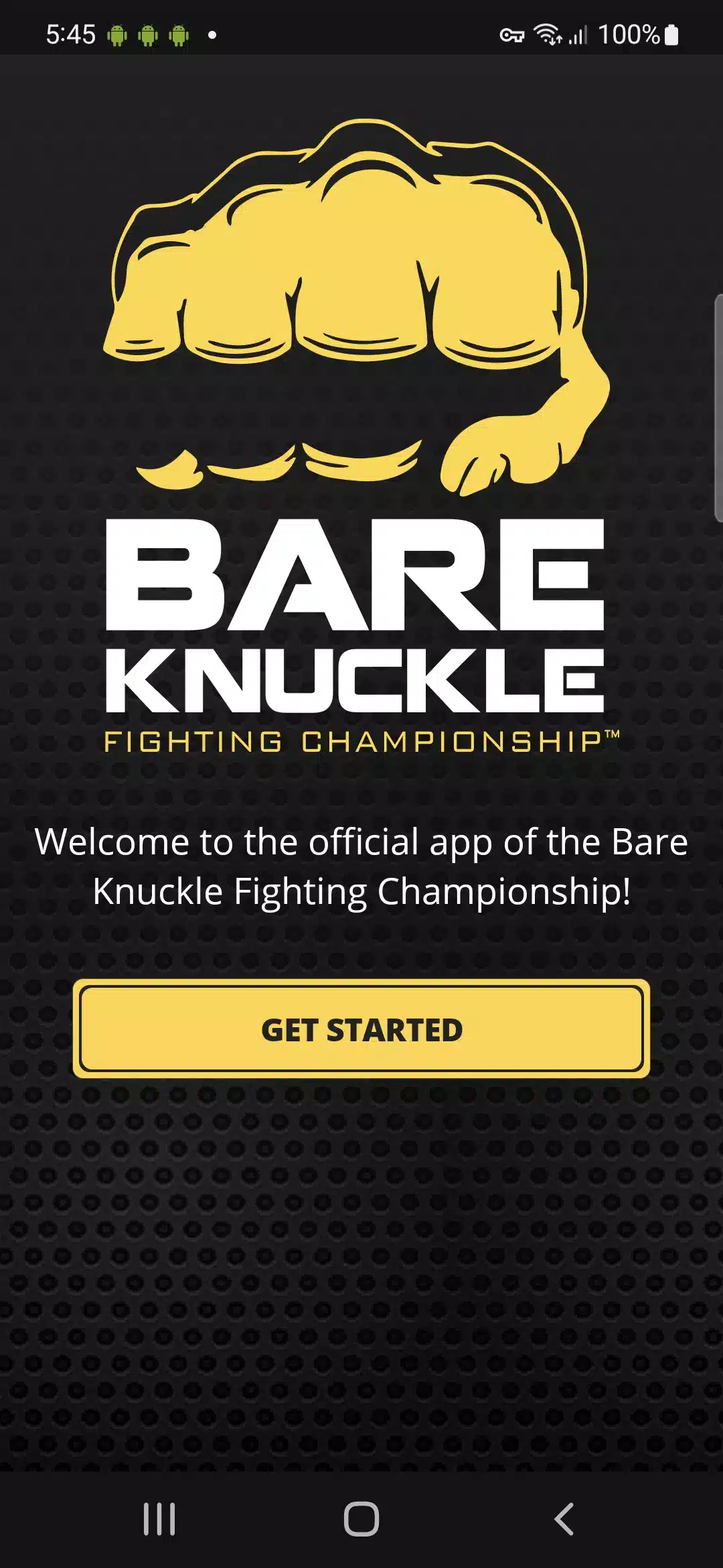 Bare Knuckle FC Image 2