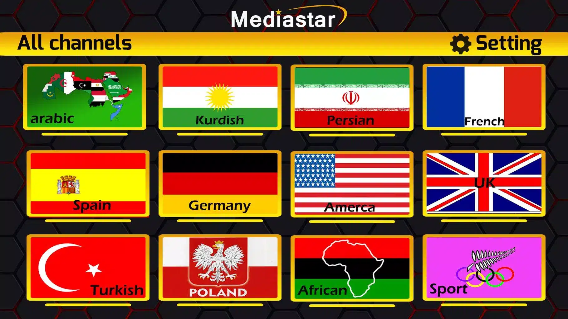 Mediastar-IPTV Pro Image 3