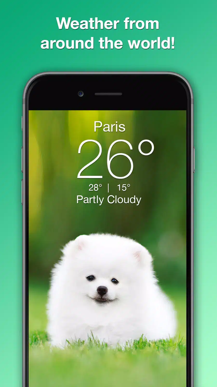 Weather Puppy Image 7